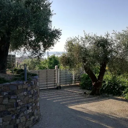 Sugli Allori-3